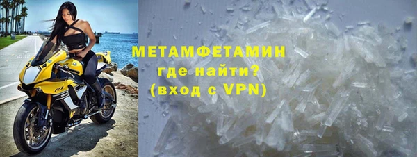 ГАЛЛЮЦИНОГЕННЫЕ ГРИБЫ Сосновый Бор